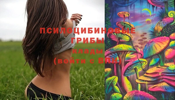 спиды Волоколамск