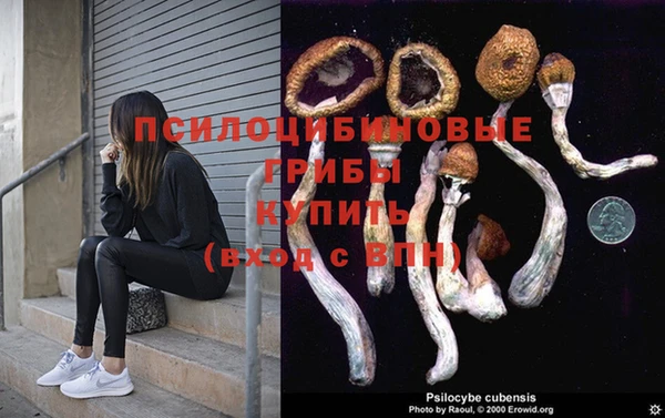 спиды Волоколамск
